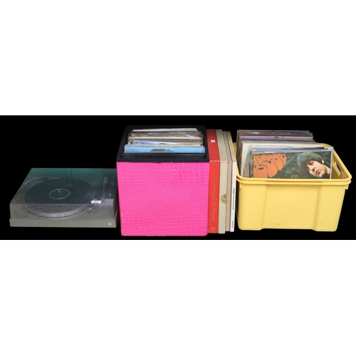 Lot 8025      