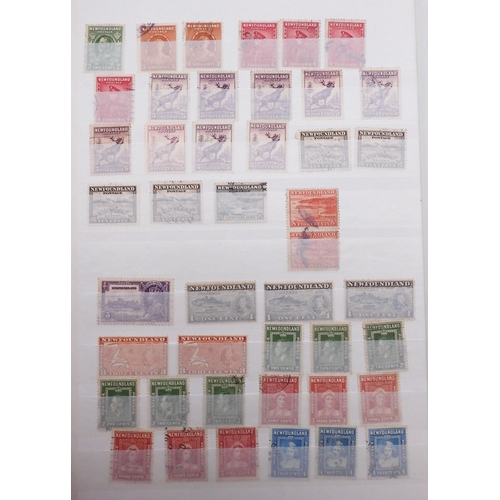 7060 - British Commonwealth Collection in Two Lighthouse Stock Books. with most countries in Dark Blue Stoc... 