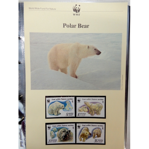 7032 - Collection in Carboard Box containing 6 albums and a small metal box. The metal box contains a small... 