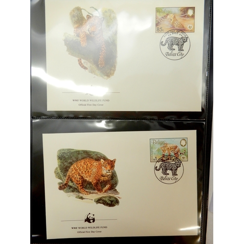 7032 - Collection in Carboard Box containing 6 albums and a small metal box. The metal box contains a small... 