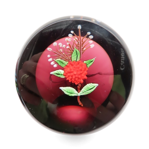 393 - Three Caithness Limited Edition paperweights including Carnation 56/250, Nature Study 113/200 and Th... 