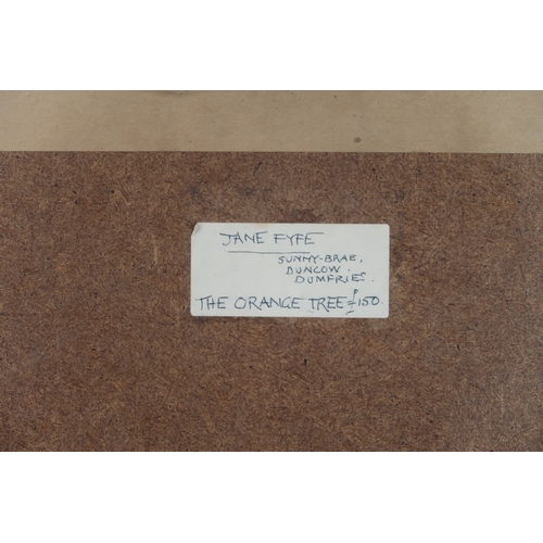 267 - JANE FYFE (SCOTTISH 1914-2011) THE ORANGE TREE Watercolour, signed lower right, 57 x 53cm  Title ins... 