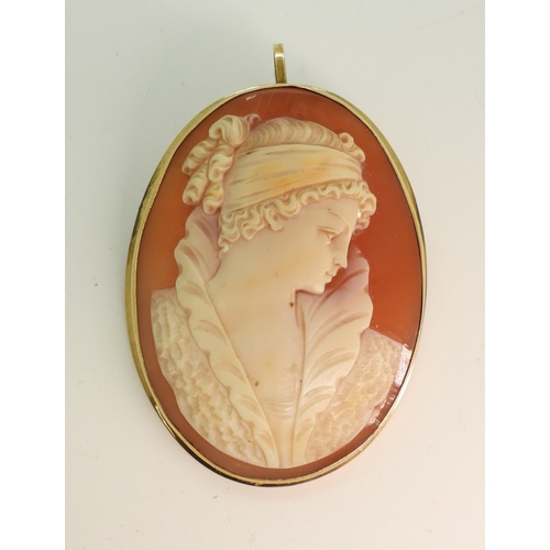 704 - A large shell cameo carved with a maiden, and mounted in a 14k brooch mount, dimensions 5cm x 4cm, w...
