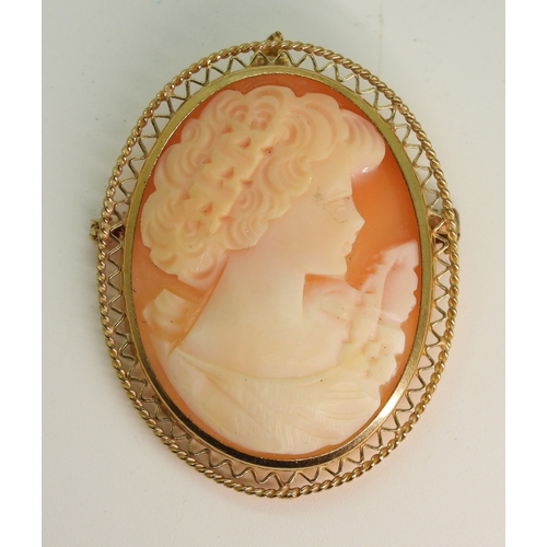 Lot 798       