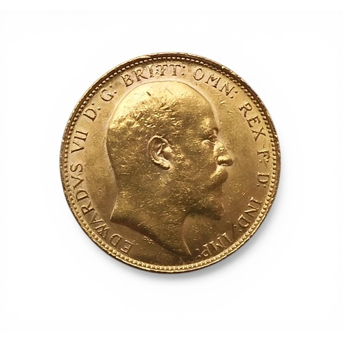Lot 5041      