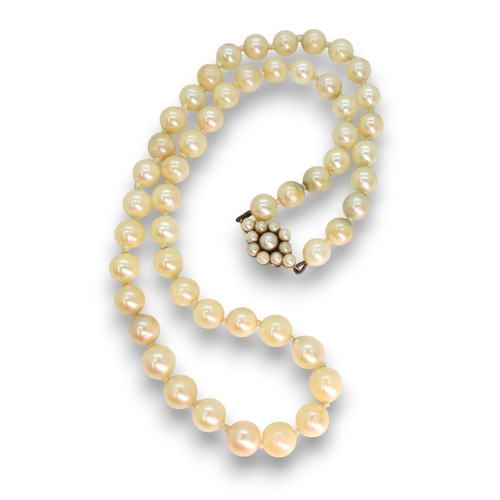 808 - A string of cultured pearls with a 9ct gold pearl flower clasp, length 44.5cm