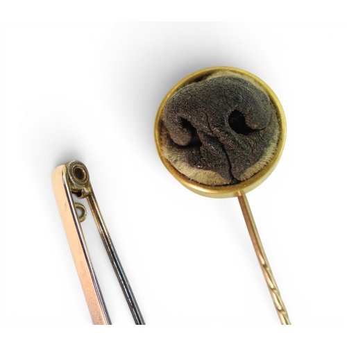 2753 - A CURIOUS TAXIDERMIED DOGS NOSE LAPEL PINmounted in bright yellow metal, diameter approx 17.8mm, wei... 