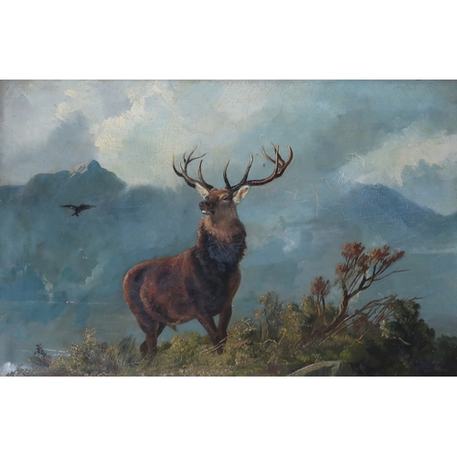 Lot 200       