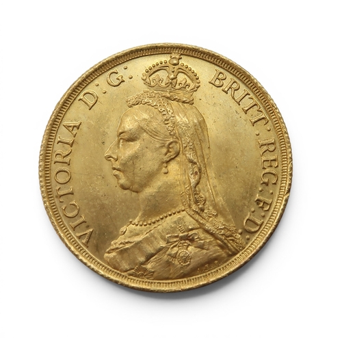 Lot 5001      