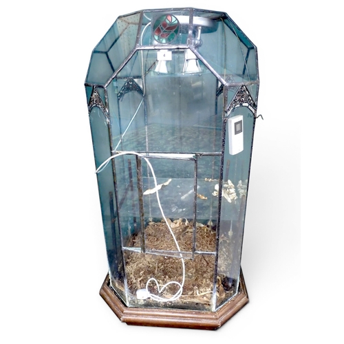 4 - A large 20th century terrarium with leaded glass body with single hinges door and canted corners wit... 