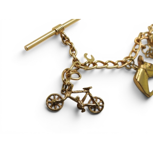 701 - A 9ct gold charm bracelet to include a 9ct Bonzo Dog charm, a horses head and a further 6 9ct charms... 