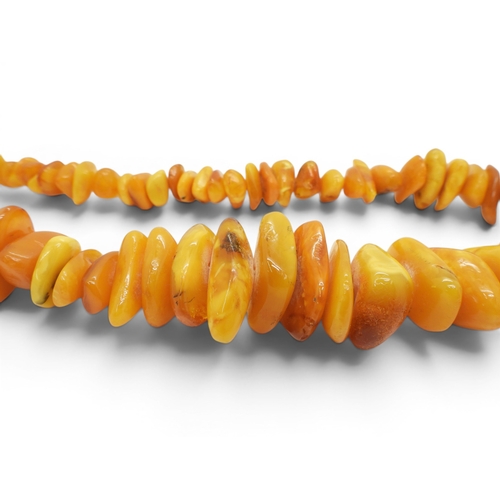 730 - A very large statement yellow amber coloured tumbled bead necklace, tapering in size from approx 2cm... 
