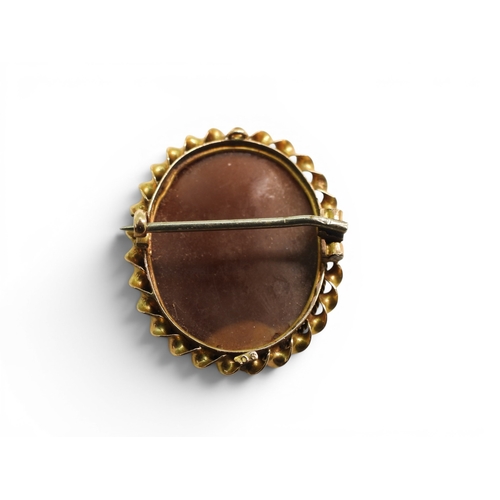733 - Two 9ct gold cameo brooches with similar earrings, weight combined 15.7gms, together with a yellow m... 