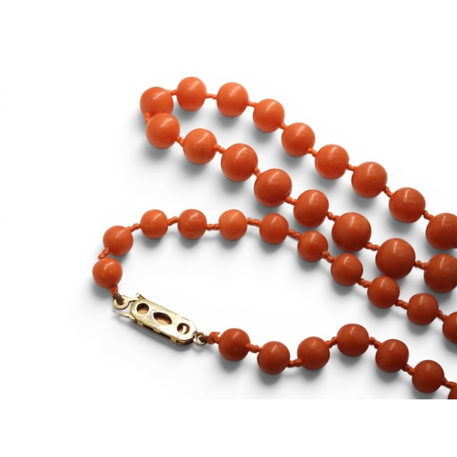 737 - A string of coral beads with a 9ct gold clasp, length 56cm, together with a pair of coral drop earri... 