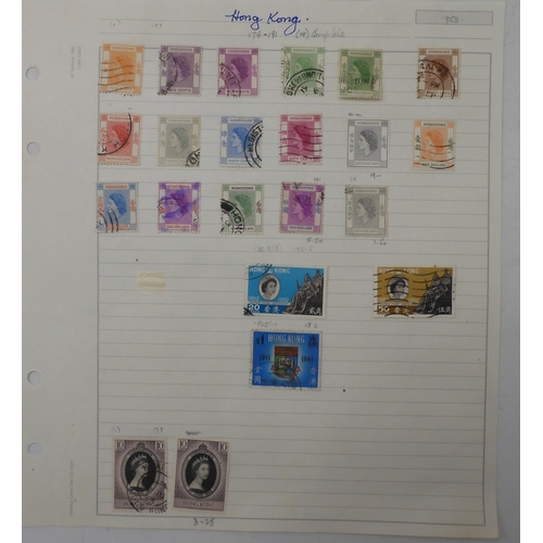 Lot 7004      