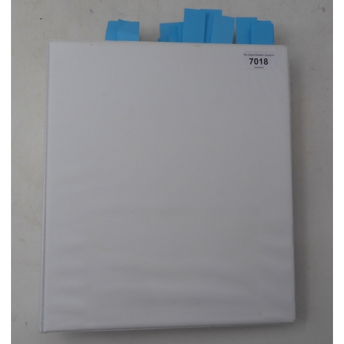 Lot 7018      