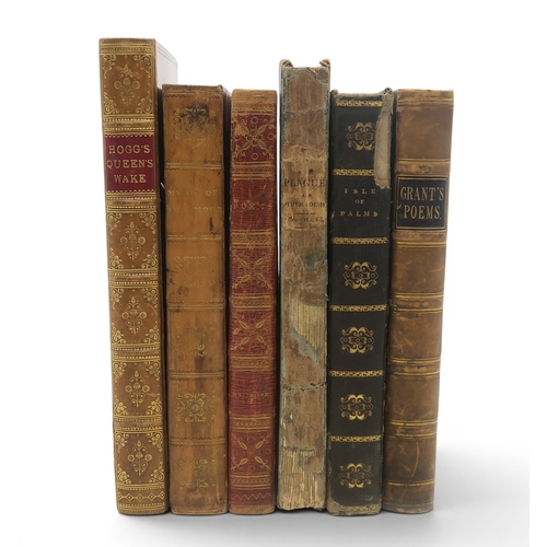 Lot 8019      
