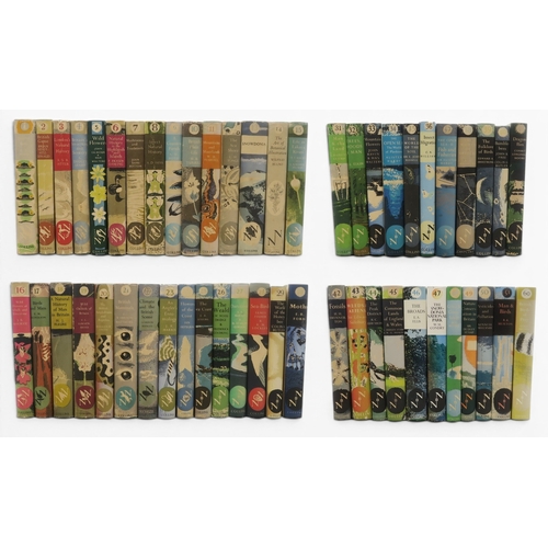 Lot 8044      
