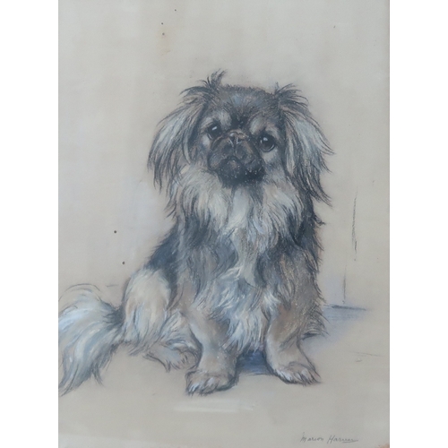 Lot 247       