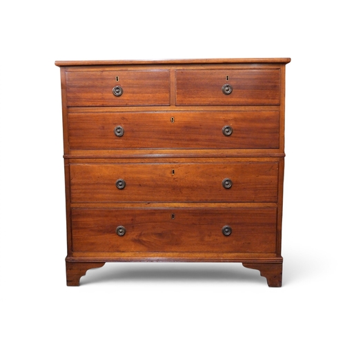 Lot 29        