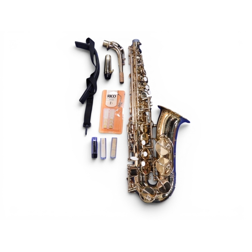TREVOR J.JAMES サックス THE HORN Revolution Saxophone - A Trevor J James & Co 'The Horn Revolution' Alto