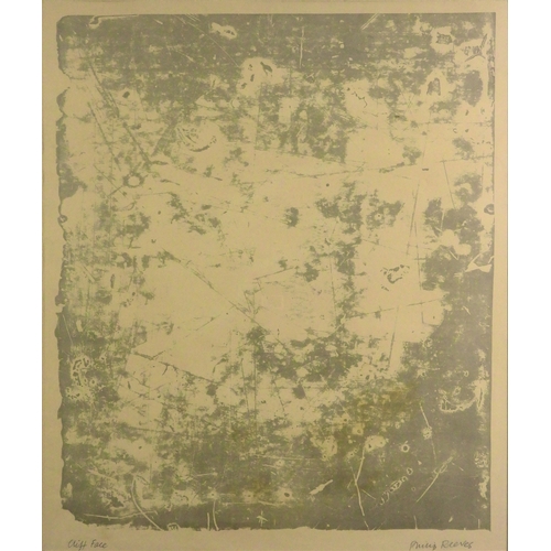 2973 - PHILIP REEVES RSA RSW ARCA RE RGI (BRITISH 1931-2017)CLIFF FACE (WHITE CLIFF)Lithograph, signed and ... 