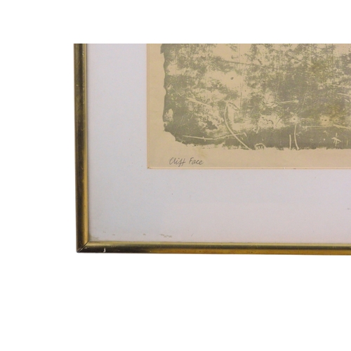 2973 - PHILIP REEVES RSA RSW ARCA RE RGI (BRITISH 1931-2017)CLIFF FACE (WHITE CLIFF)Lithograph, signed and ... 