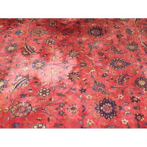 2080 - AN IMPRESSIVE LARGE RED GROUND SAROUK RUG with all-over floral/foliate patterned ground within dark ... 