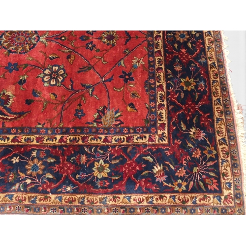 2080 - AN IMPRESSIVE LARGE RED GROUND SAROUK RUG with all-over floral/foliate patterned ground within dark ... 