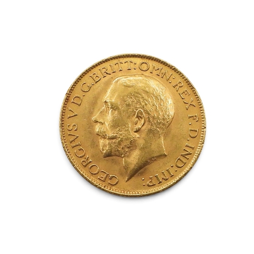 Lot 5000      