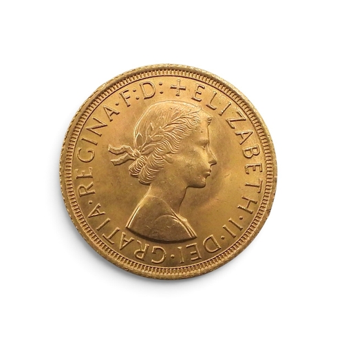 Lot 5004      