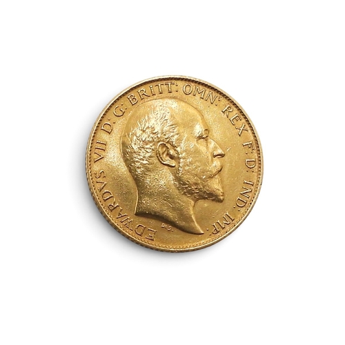 Lot 5006      