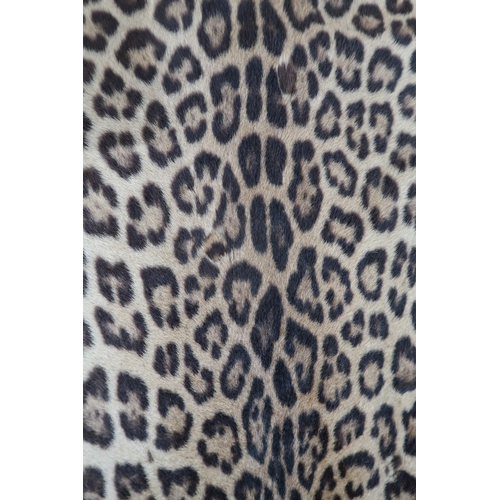 8000 - A leopard pelt with snarling taxidermy head, mounted on black felt and canvas approx. 248cm nose to ... 