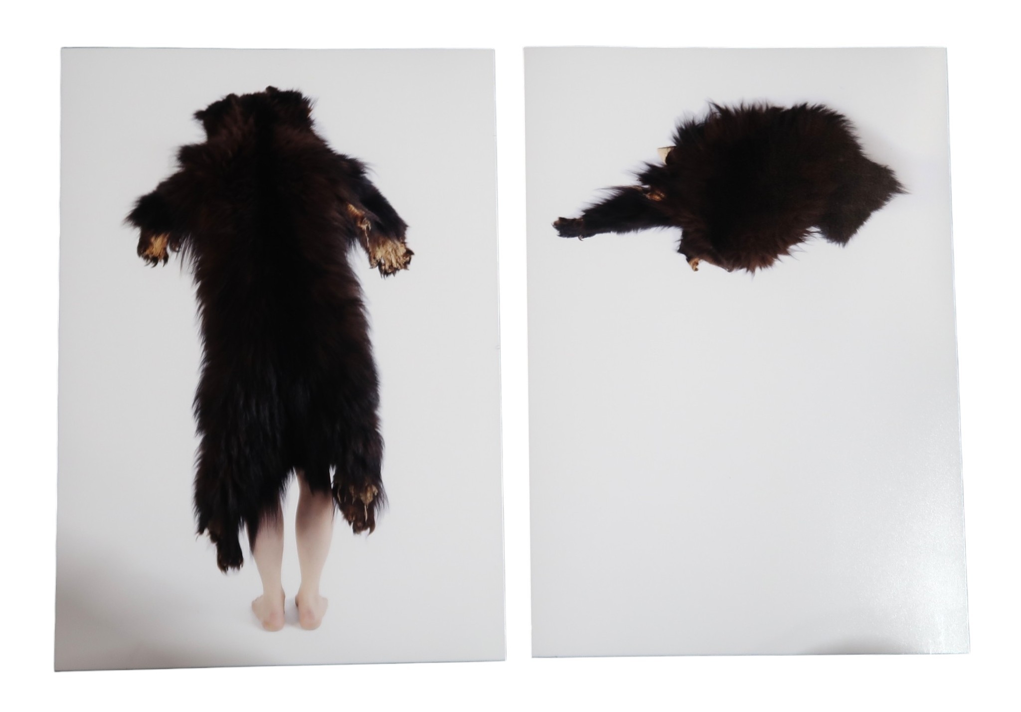 ALEXA WRIGHT (BRITISH CONTEMPORARY) BEARS Photographs, 28 x 20cm (2)