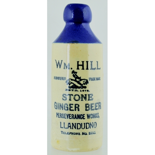 537 - LLANDUDNO BLUE TOP GINGER BEER BOTTLE. 7.5ins tall. T.t, st, blue top, strong black transfer WM HILL... 