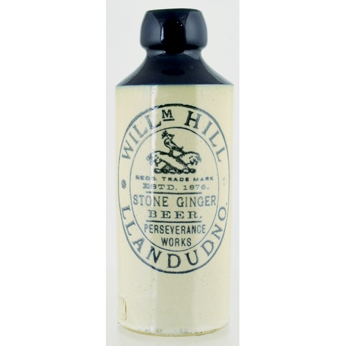 538 - LLANDUDNO BLUE TOP GINGER BEER BOTTLE. 7ins tall. T.t, st, dark blue top, black transfer WILLM HILL/... 