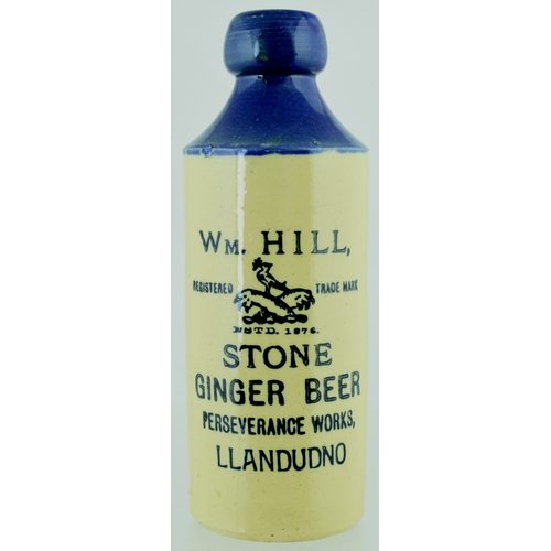 539 - LLANDUDNO BLUE TOP GINGER BEER BOTTLE. 7.5ins tall. T.t,  st, blue top, strong black transfer WM HIL... 