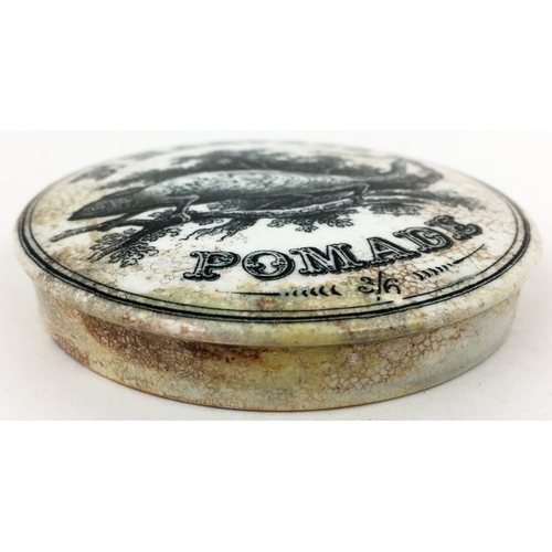 689 - DR HARVEYS POMADE POT LID.  3.2ins diam. Stunning sharp black chameleon on detailed foliate branch p... 