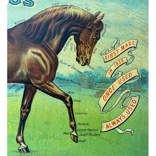 325 - DOBSONS POWDERS CARD ADVERT. 20.5 x 18.5ins. Central horse pict with parts of the body/ meat named. ... 