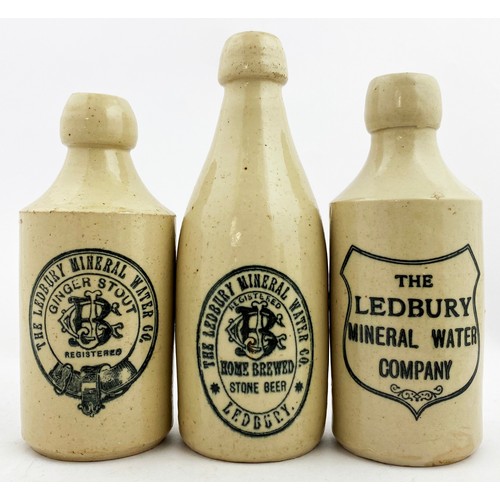 565 - LEDBURY GINGER BEER TRIO. Tallest 8ins. All white, black transfer. All different transfers. Rear p.m... 