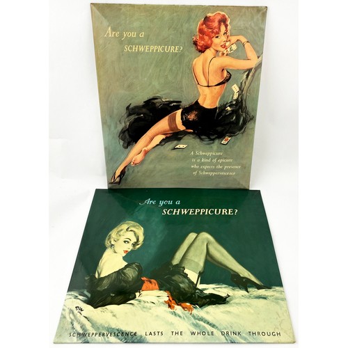 335 - SCHWEPPICURE ADVERTS DUO. Largest 13.75 x 11.75ins. Multi-coloured period stand up showcards on tin ... 