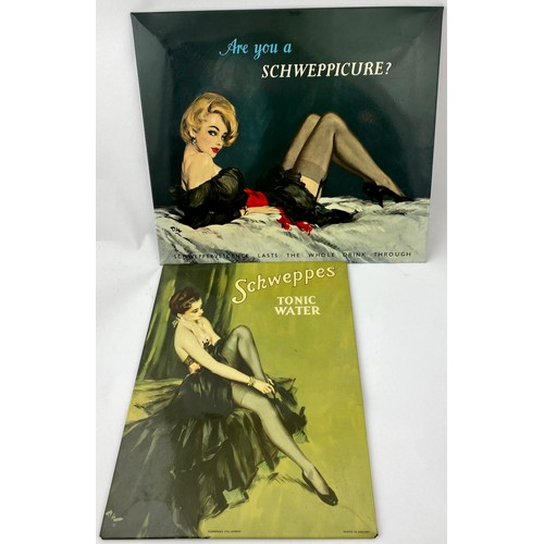 336 - SCHWEPPICURE ADVERTS DUO. Largest 13.5 x 11.75ins. Multi-coloured period stand up showcards on tin &... 