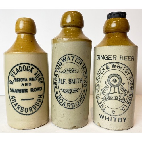 432 - NORTH YORKSHIRE GINGER BEER TRIO. Tallest 7.5ins. T.t, std. SCARBOROUGH & WHITBY. Rear p.m. Damages.... 