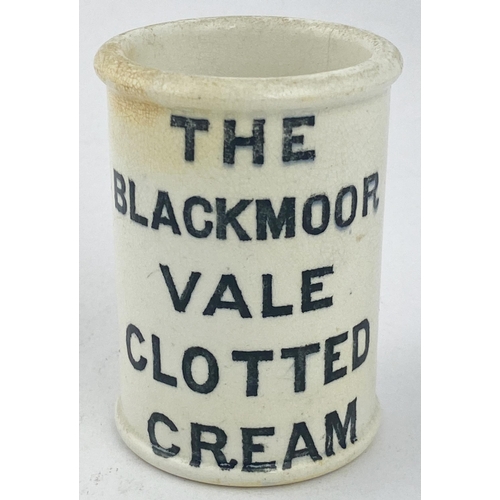 14 - BLACKMOOR VALE CLOTTED CREAM POT. 3.1ins tall. All white body, strong black transfer both front & ba... 