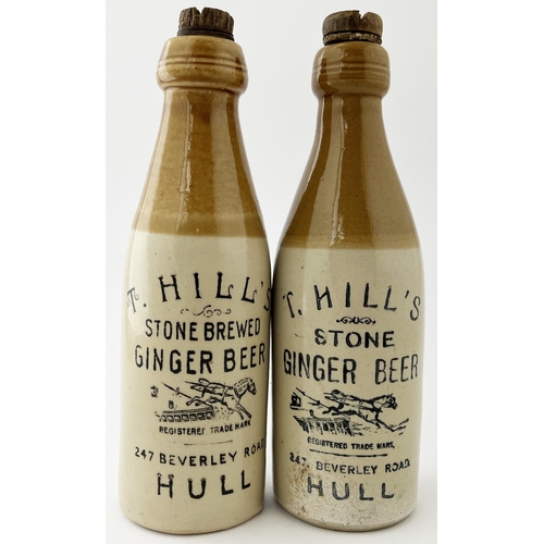 624 - HULL GINGER BEER DUO. Tallest 8.5ins. T. Hills with horse pict to centre. One with rear t.m. Minute ... 