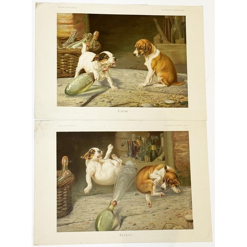 191 - CAUSE & EFFECT PICTURES. 15.5 x 11ins. Dogs opening hamilton bottle with teeth. From London News. Mi... 