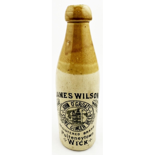 141 - JAMES WILSON WICK GINGER BEER BOTTLE. 8.8ins tall, ch., t.t., cork blob top (inside 2 lines/ flaws?)... 