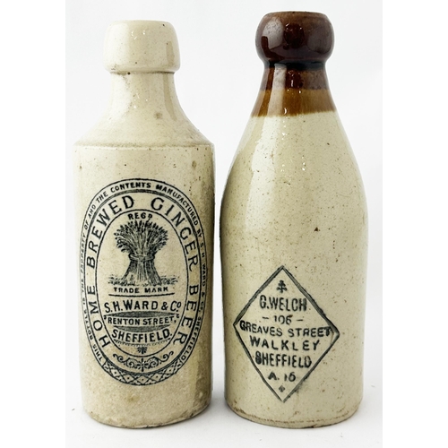 225 - SHEFFIELD GINGER BEER DUO. Tallest 7.5ins. S H WARD & CO plus G WELCH. Rear p.m. Chip. (2)