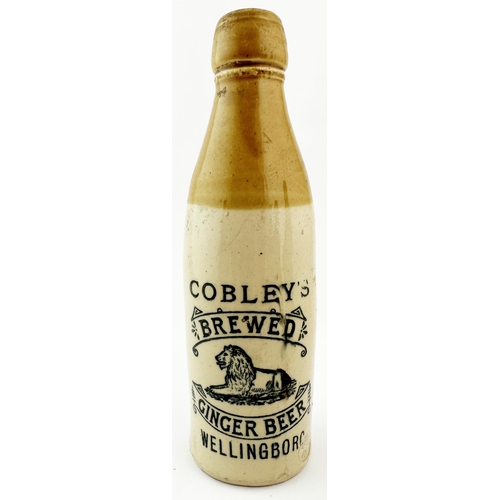 509 - COBLEYS WELLINGBORO GINGER BEER BOTTLE. 8.7ins tall, ch. t.t.,screw top. Large seated lion pict. t.m... 