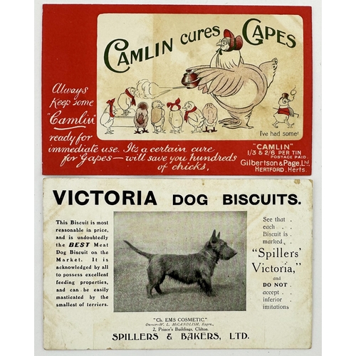 150 - ANIMAL RELATED POSTCARD DUO. 5.5 x 3.5ins. Inc. Spillers & Bakers Ltd dog biscuits plus Camlin cures... 